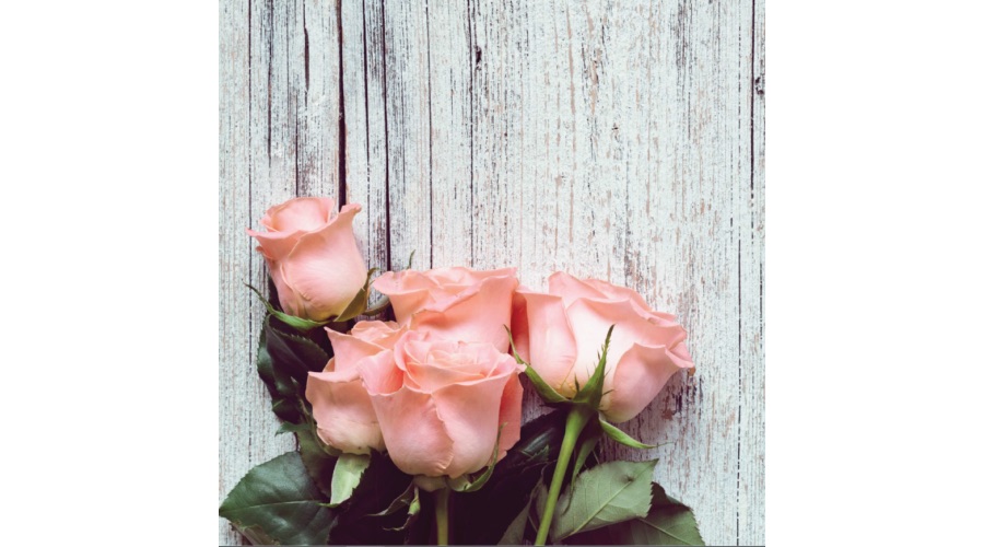 Üveg - kép infrapanel Fenix EcoSun 300 G (300 W) Képes kivitel - Roses