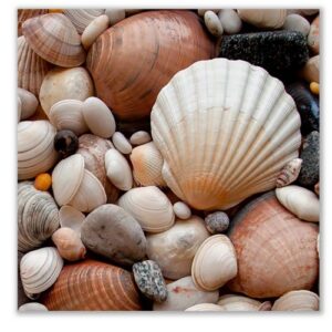 Üveg - kép infrapanel Shells (300 W) Új termék!