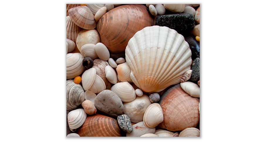 Üveg - kép infrapanel Shells (300 W) Új termék!