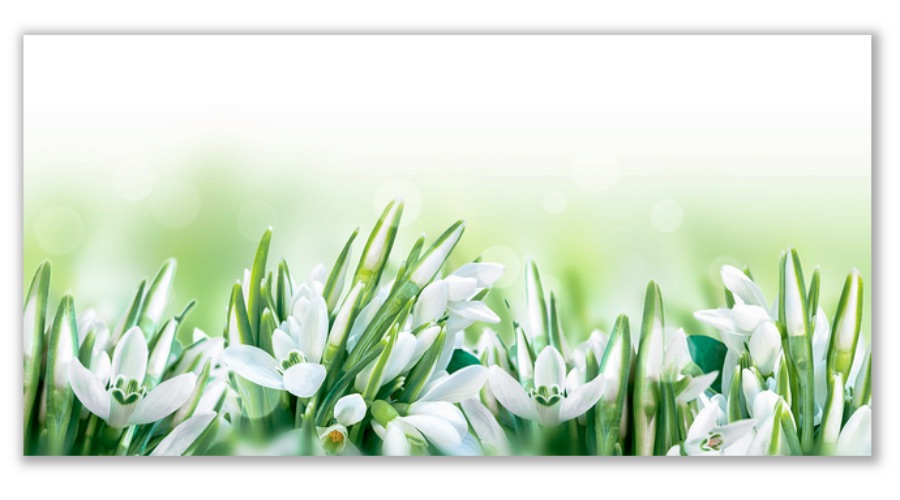 Üveg - kép infrapanel Snowdrops (600 W) Új termék!